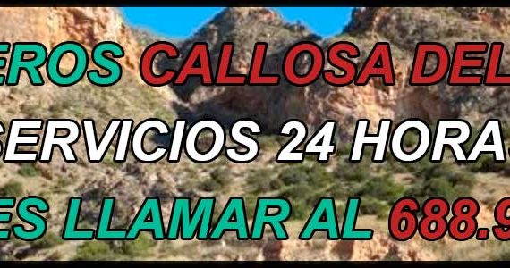 cerrajeros callosa del segura portada